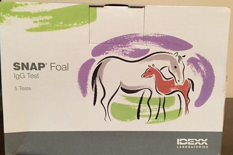 Foaling IgG Test