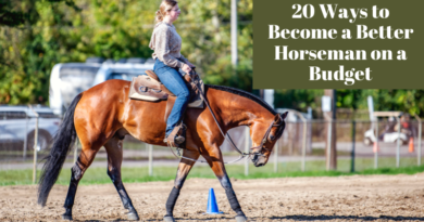 20 Ways to Become a Better Horseman on a Budget.