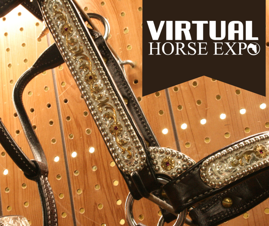 Virtual Horse Expo