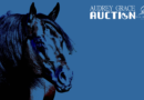 2019 Audrey Grace Auction