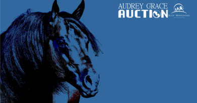 2019 Audrey Grace Auction