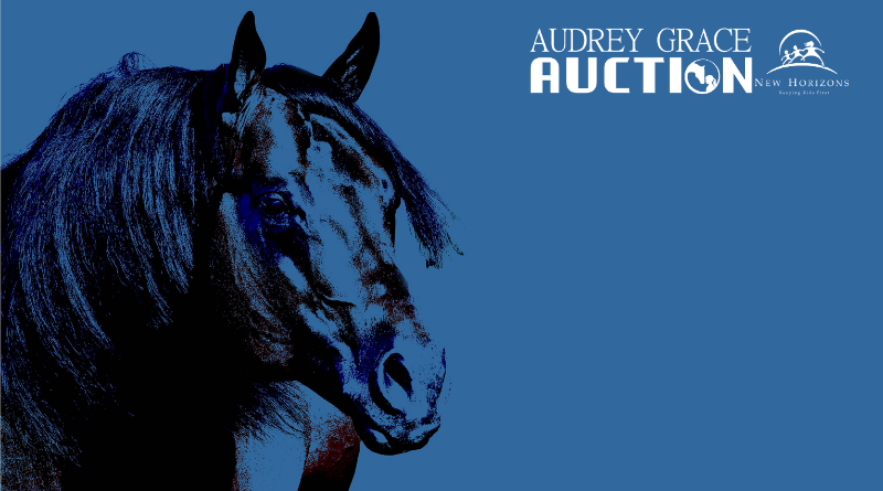 2019 Audrey Grace Auction