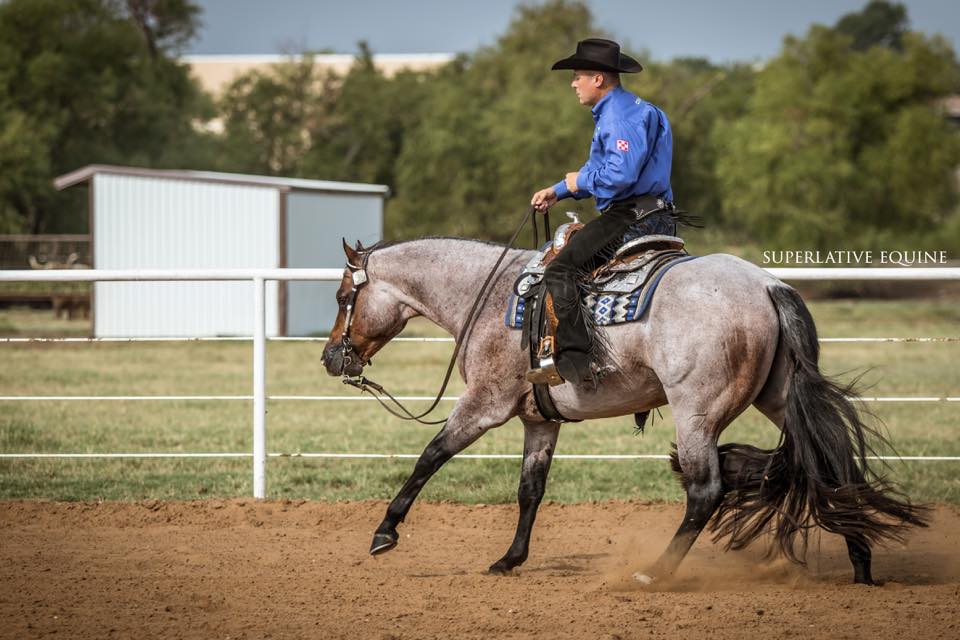 Great American Stallion Incentive 