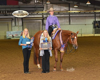 AQHA Sire LL Cool Bay