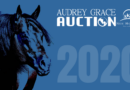 Audrey Grace Auction 2020