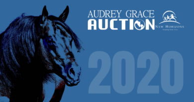 Audrey Grace Auction 2020