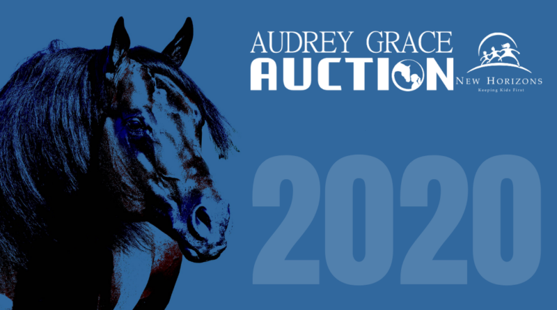 Audrey Grace Auction 2020