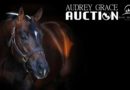 2020 Audrey Grace Auction Open