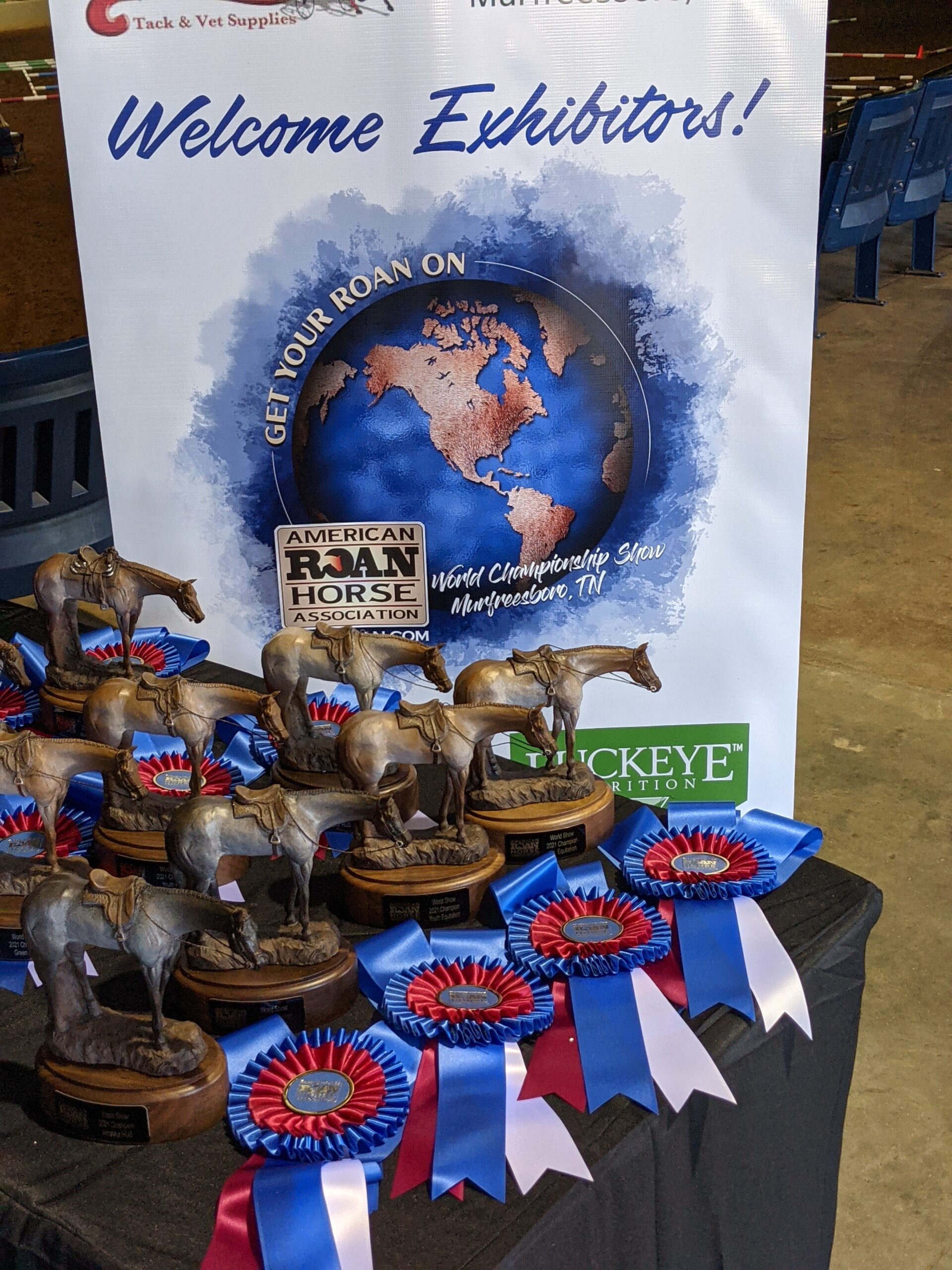 2021 ARHA World Show Results and Candids Show Horse Today
