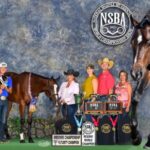Good Better Best Sires  NSBA Sale Record Breaking Yearling
