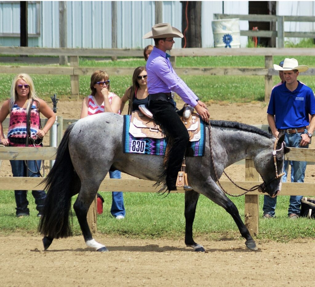 Back to Berrien Futurity