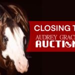 Audrey Grace Auction Closing Today