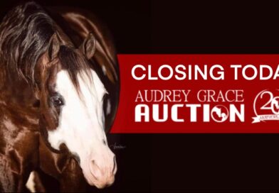Audrey Grace Auction Closing Today