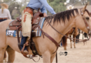 Learn To Win at Ranch Riding