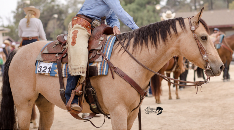 Learn To Win at Ranch Riding