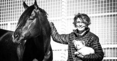Don’t Train The Try Out Of Your Horses with Nancy Sue Ryan