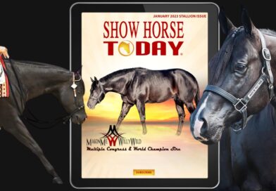 Show Horse Today Dec/January 2023 Stallion Issue