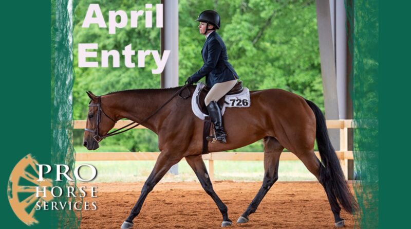 Pro Horse Service adds Elite Session to April Internet Auction