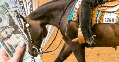 AQHA adds $600,000 Additional Purse to World Championship Show