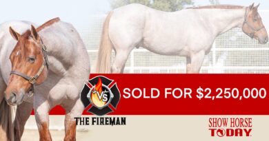 VS The Fireman Tops VS Dispersal Sale. See the Full Results