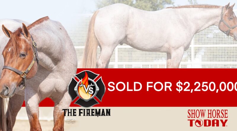 VS The Fireman Tops VS Dispersal Sale. See the Full Results