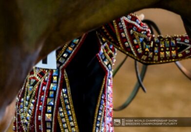 2023 NSBA World Show Candids 2