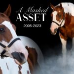 Condolences on the Passing of A Masked Asset