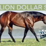 Congratulations to Million Dollar Sire Its A Southern Thing