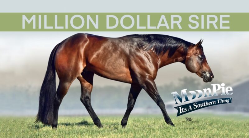 Congratulations to Million Dollar Sire Its A Southern Thing