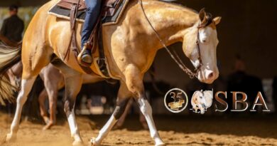 Ohio State Buckskin Horse Association Celebrates 35th Anniversary 