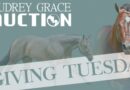 Giving Tuesday – Please Help Support the 23rd Annual Audrey Grace Auction