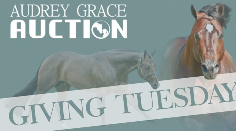 Giving Tuesday – Please Help Support the 23rd Annual Audrey Grace Auction