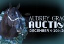 Audrey Grace Auction Open for Bidding
