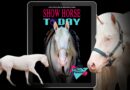 Show Horse Today Stallion & Breeding issue is Live